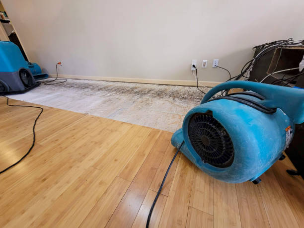 Professional Basement Flood Cleanup technician working in White, GA